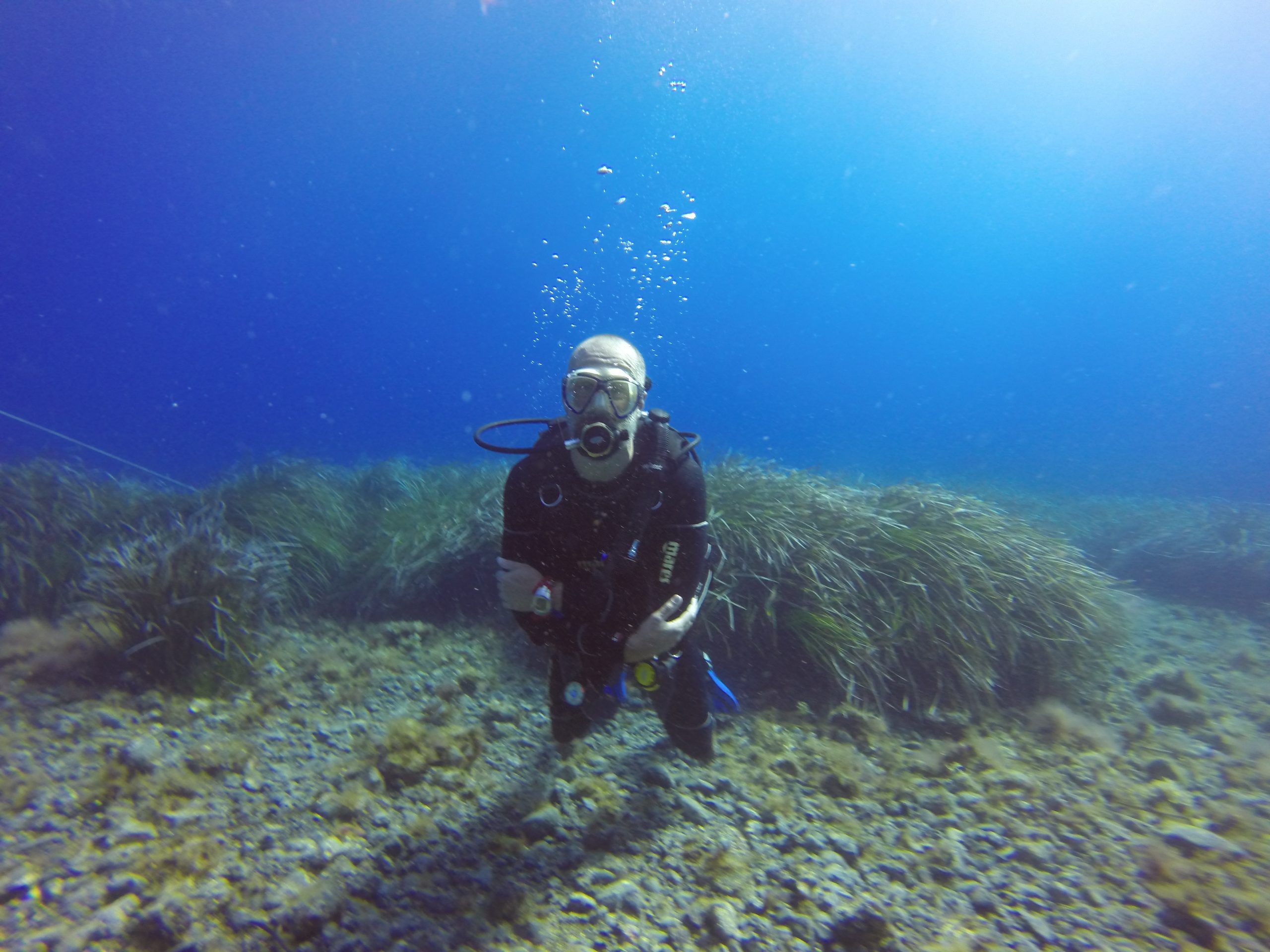 PAEC diver PAEC diver